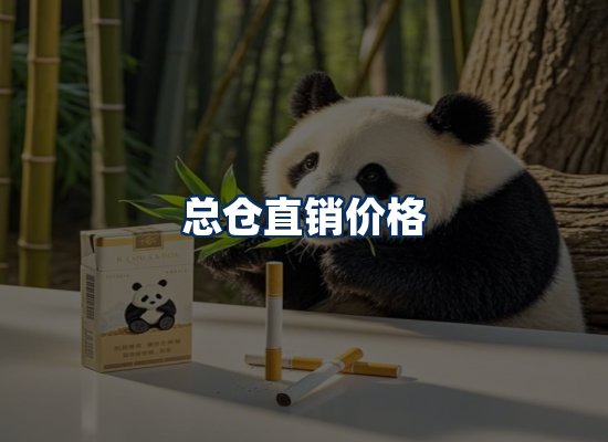 专业团队办公环境